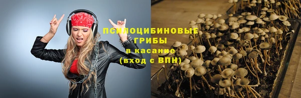 ПСИЛОЦИБИНОВЫЕ ГРИБЫ Ладушкин