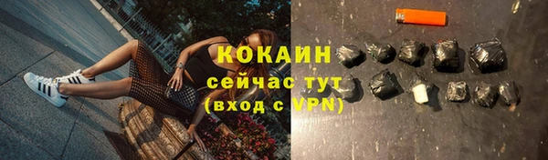 ПСИЛОЦИБИНОВЫЕ ГРИБЫ Ладушкин