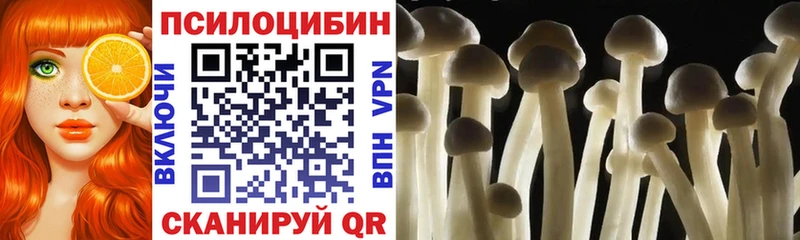 Псилоцибиновые грибы мицелий  hydra tor  Бердск 