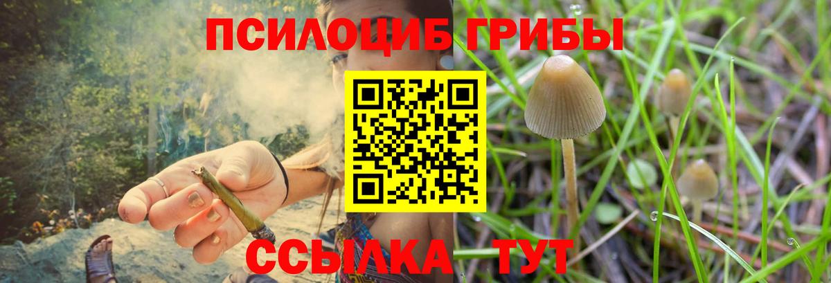 Галлюциногенные грибы Magic Shrooms  Бердск 