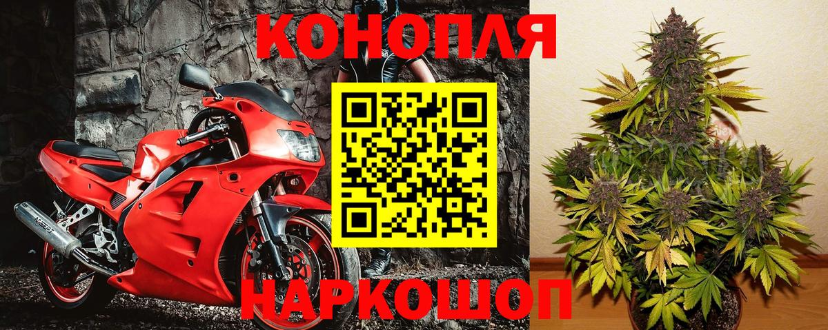 МАРИХУАНА индика Бердск