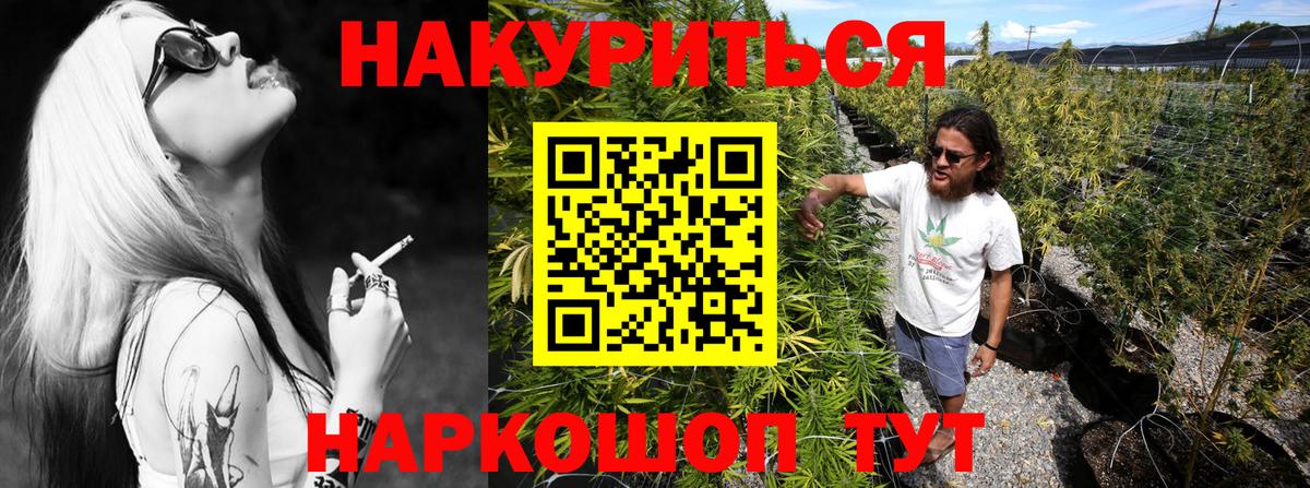 Канабис конопля  Шишки марихуана VHQ  Марихуана семена  Вход с VPN  Бердск  Марихуана OG Kush 